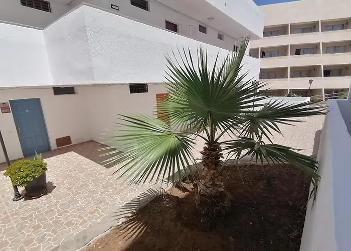 In Parque Cattleya, Playa De Americas * بلايا ذي لاس أميريكاس